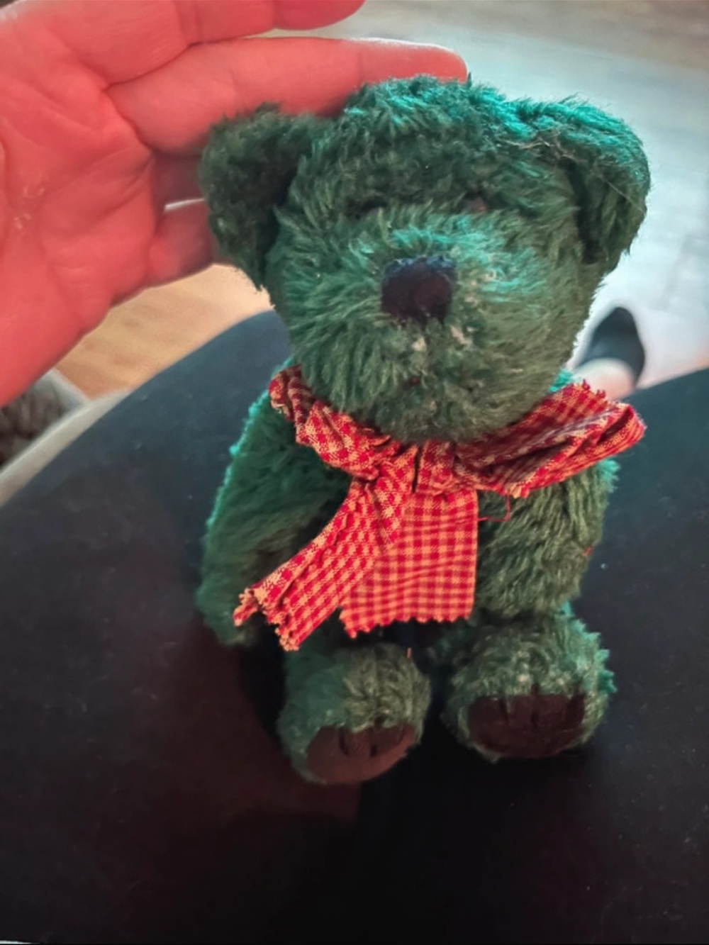 Boyd’s bear